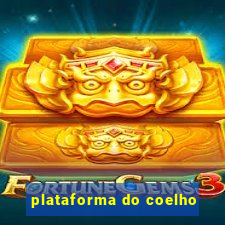 plataforma do coelho